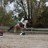 bABIE lATO 2018